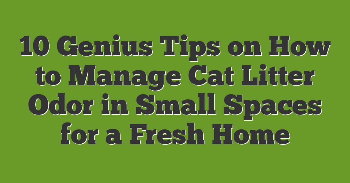 10 Genius Tips on How to Manage Cat Litter Odor in Small Spaces for a Fresh Home