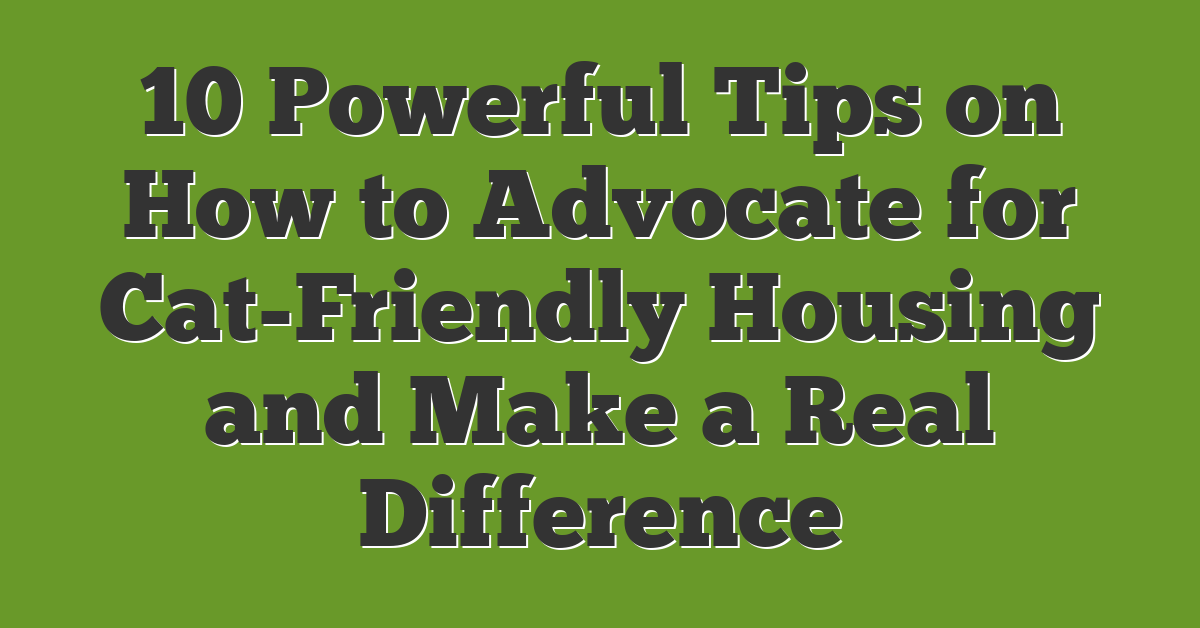 10 Powerful Tips on How to Advocate for Cat-Friendly Housing and Make a Real Difference
