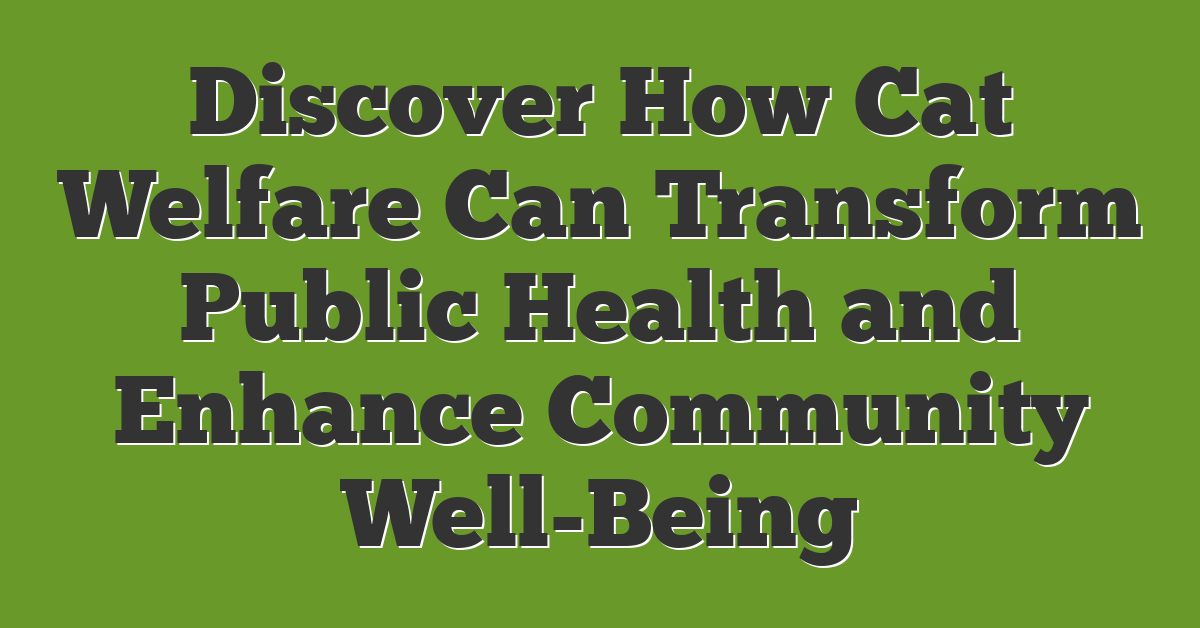 Discover How Cat Welfare Can Transform Public Health and Enhance Community Well-Being