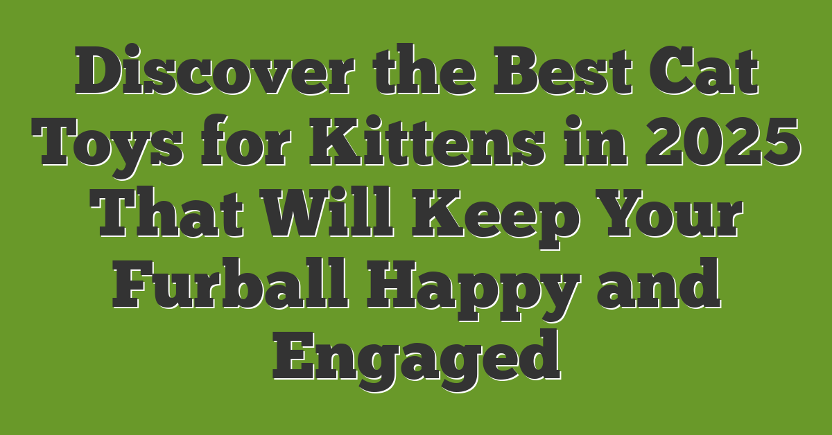 Discover the Best Cat Toys for Kittens in 2025 That Will Keep Your Furball Happy and Engaged