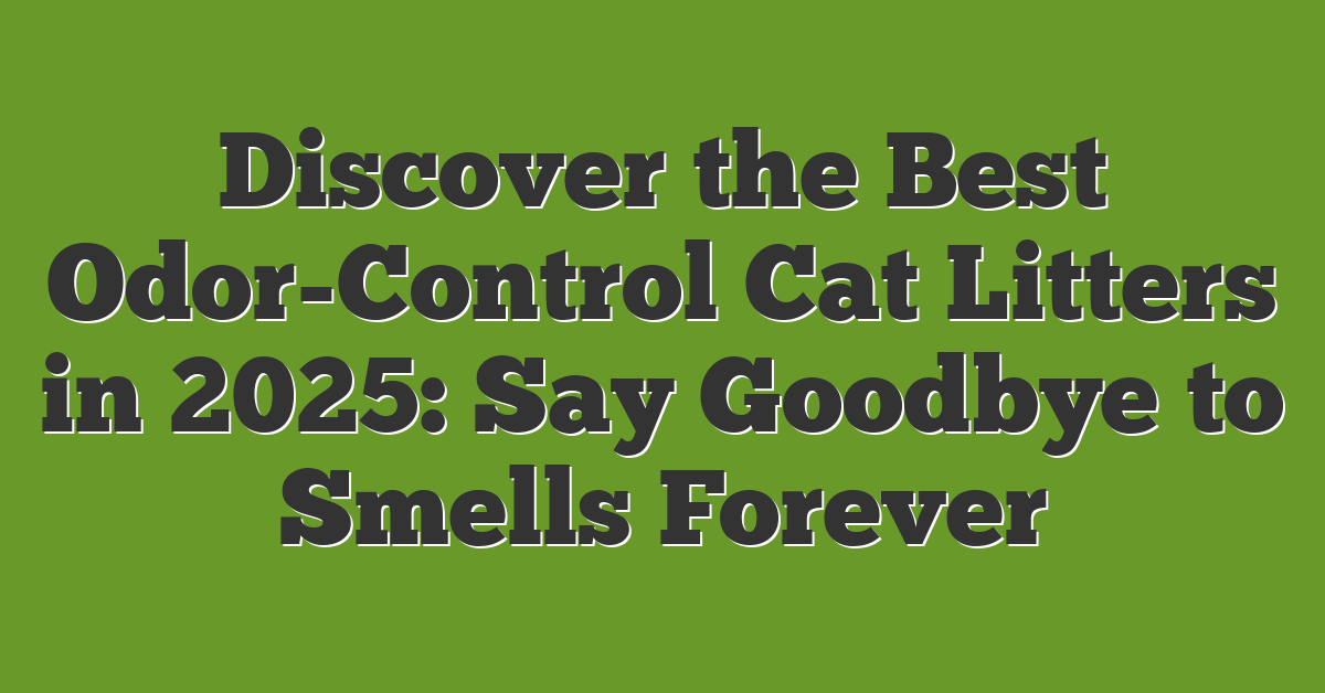 Discover the Best Odor-Control Cat Litters in 2025: Say Goodbye to Smells Forever