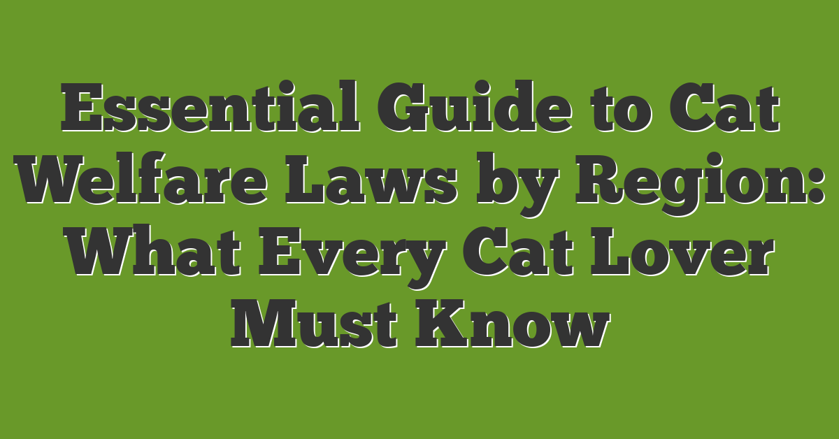 Essential Guide to Cat Welfare Laws by Region: What Every Cat Lover Must Know