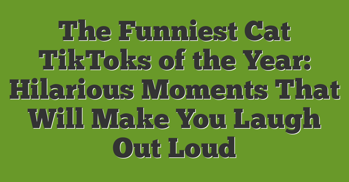 The Funniest Cat TikToks of the Year: Hilarious Moments That Will Make You Laugh Out Loud