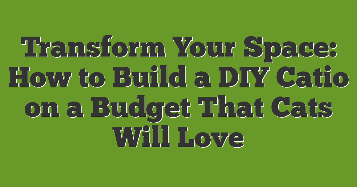 Transform Your Space: How to Build a DIY Catio on a Budget That Cats Will Love