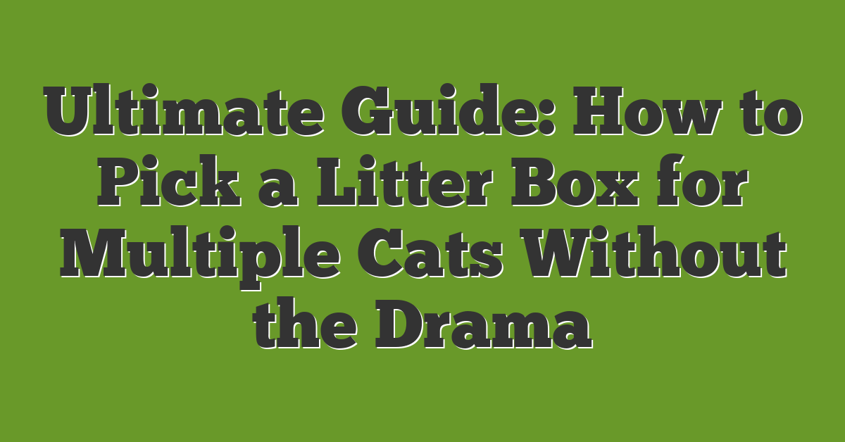 Ultimate Guide: How to Pick a Litter Box for Multiple Cats Without the Drama